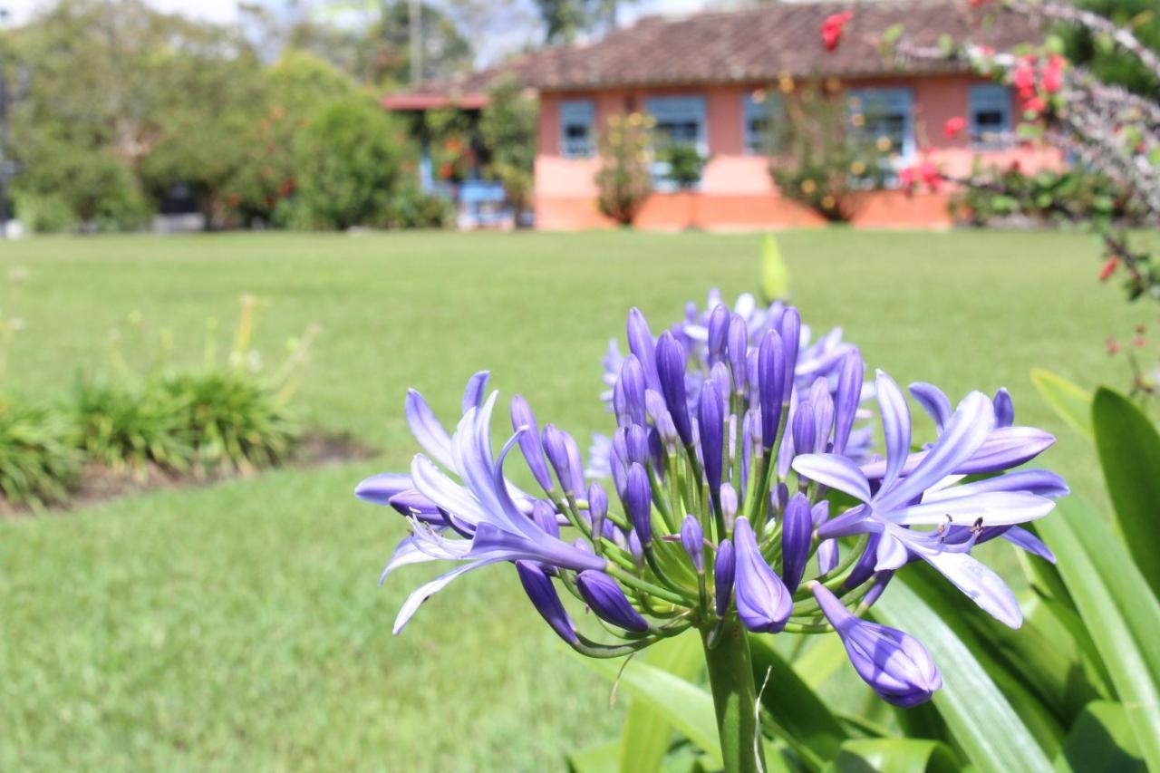 Ecohotel La Masia Llanogrande  Ngoại thất bức ảnh