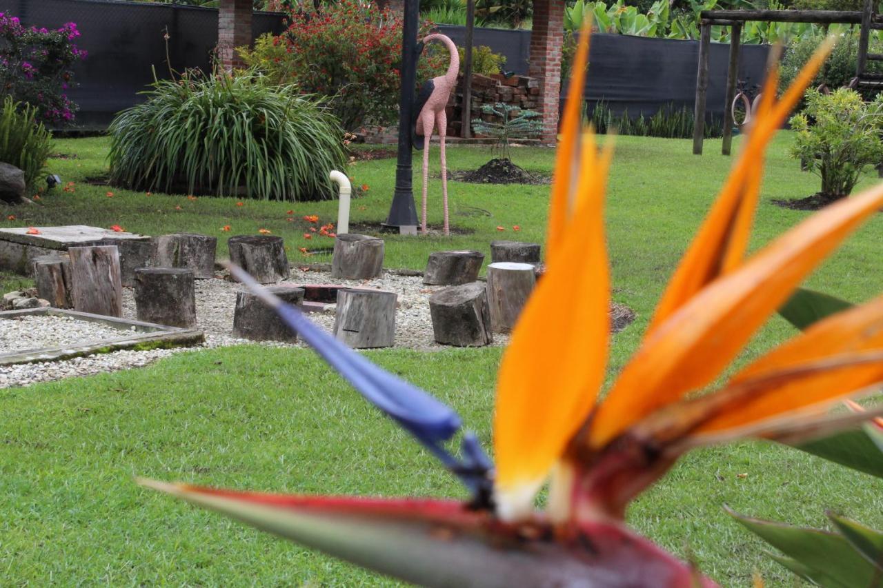 Ecohotel La Masia Llanogrande  Ngoại thất bức ảnh