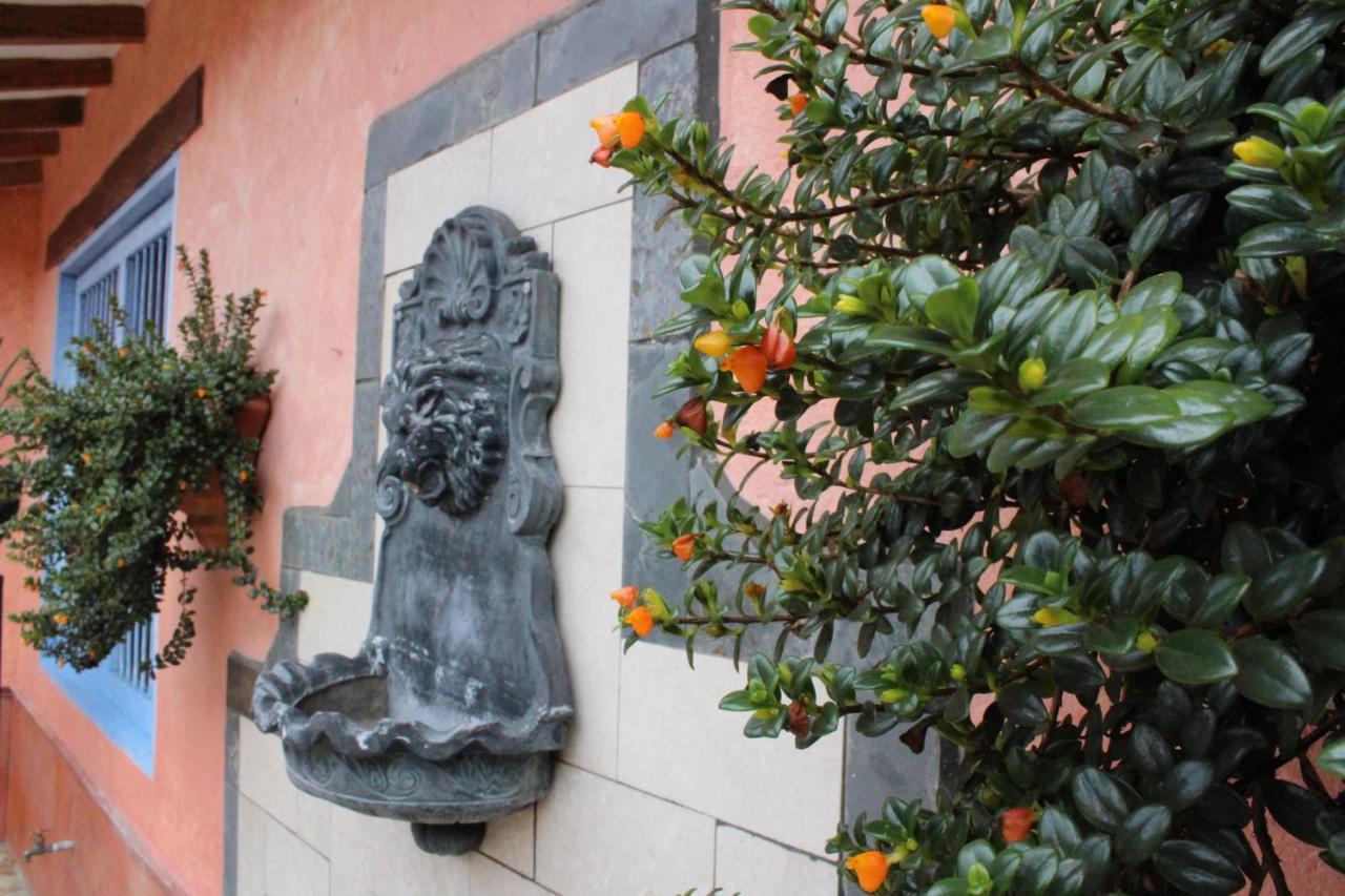 Ecohotel La Masia Llanogrande  Ngoại thất bức ảnh